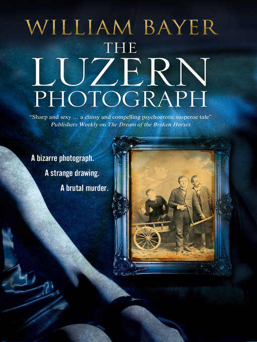 Cover image for The Luzern Photograph